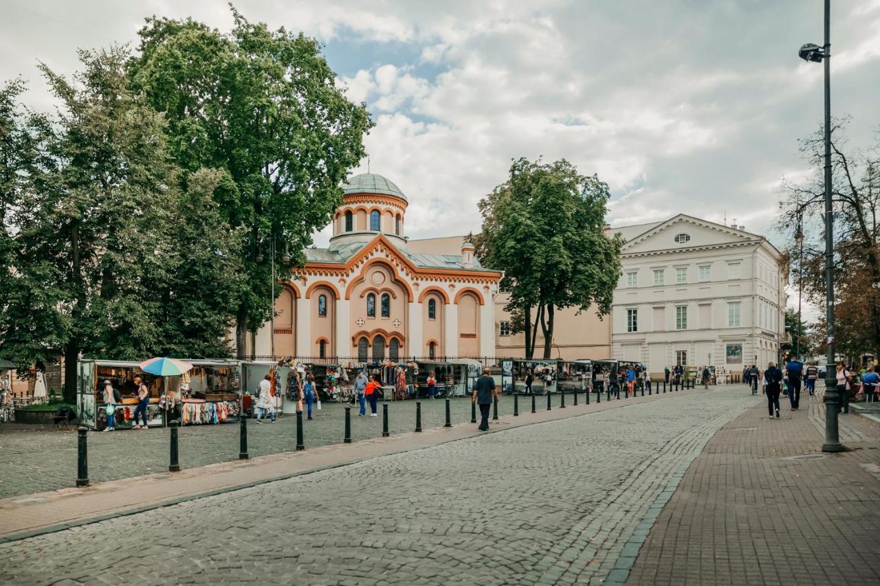 Spacious - 140 Square Meters Apartment, Vilnius City Centre Buitenkant foto